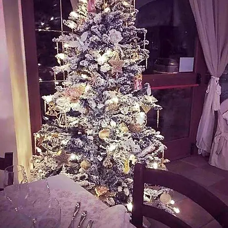 Sui Passi Di Francesco Fogadó