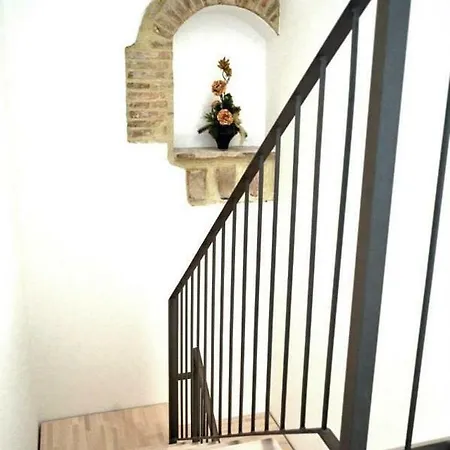 Sui Passi Di Francesco * Valfabbrica