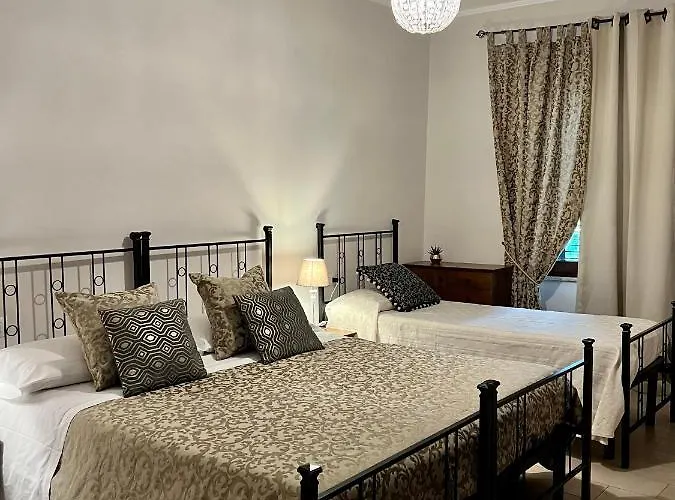 Sui Passi Di Francesco