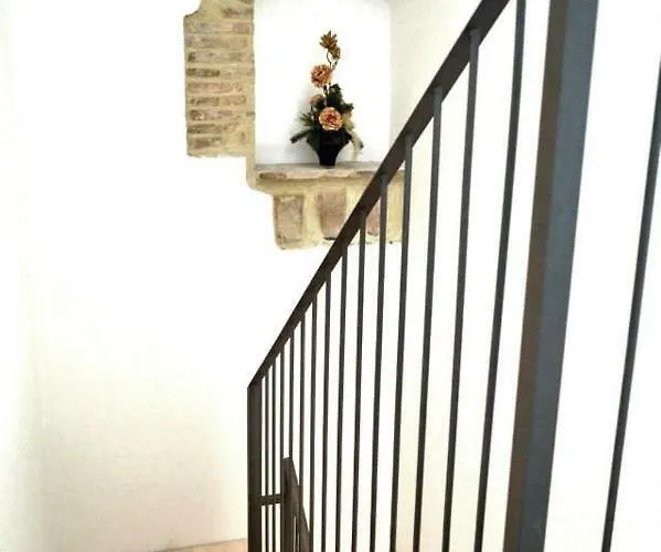 Sui Passi Di Francesco * Valfabbrica