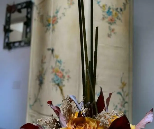 Sui Passi Di Francesco * Valfabbrica