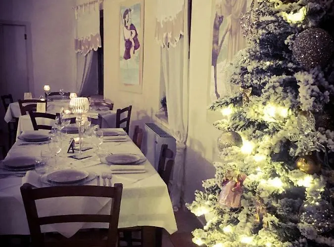 Sui Passi Di Francesco *